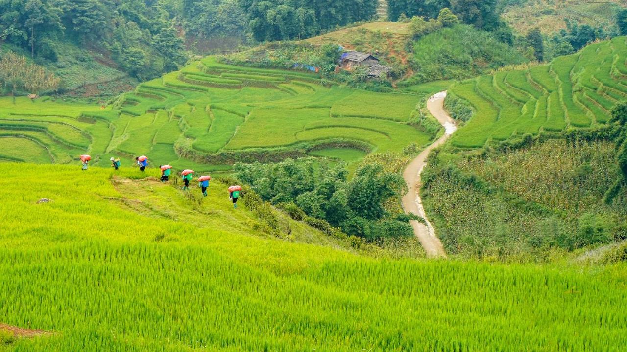 Sapa Fantasea Homestay Exterior photo